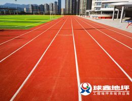 深圳紅山學校操場運動場球場跑道項目